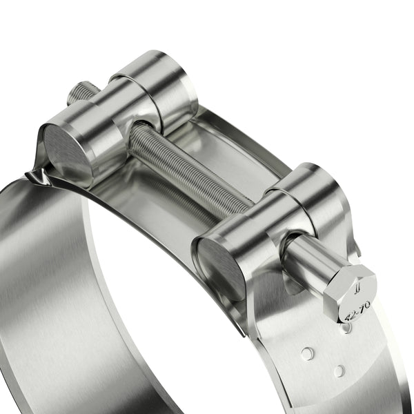 Assorted T-Bolt Hose Clamps